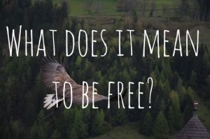 alt=“what does it mean to be free?”