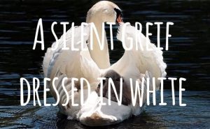 Alt=”a silent greif dressed in white”